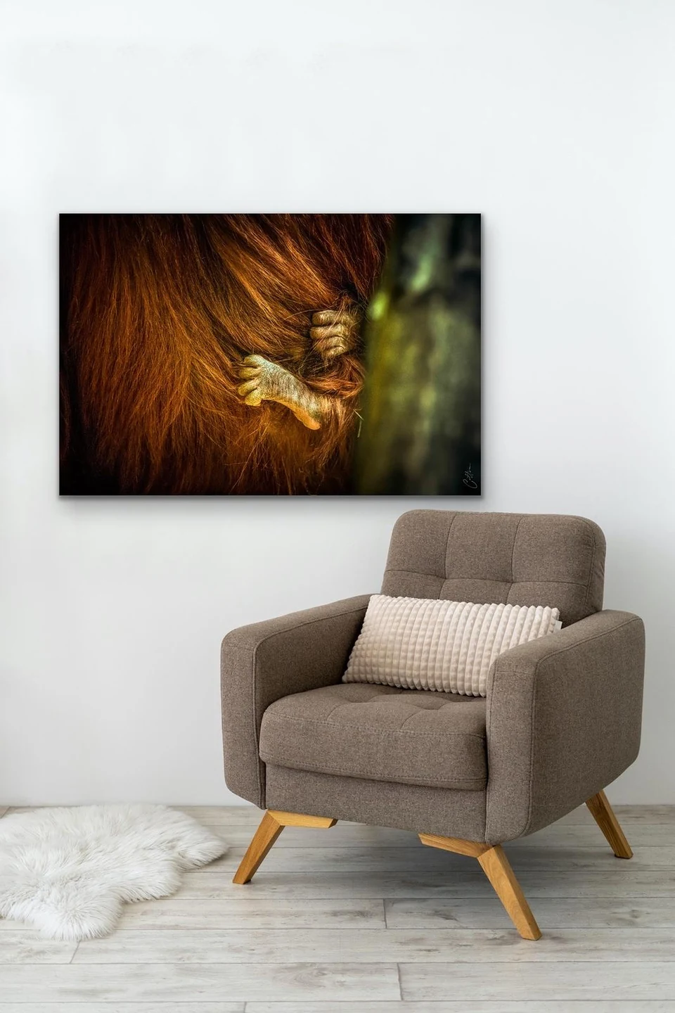 Mother's Day, a baby orangutan's hand gripping its mother's fur, hung above an armchair in a bright room.